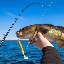 blue fishing jelly lures